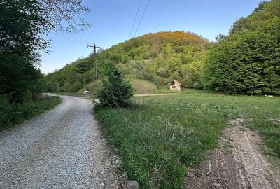 Casă în Almaș-Săliște - 1