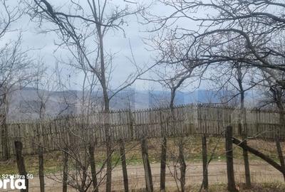Teren de 3781 mp, în Izvoarele - 13