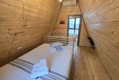 Proprietate Speciala in Gura Raului, Sibiu - Doua Cabane A-Frame - 5