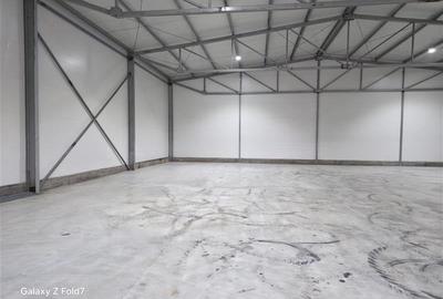 Inchiriere depozit/hala/spatiu industrial Theodor Pallady - Gara Catelul - 5