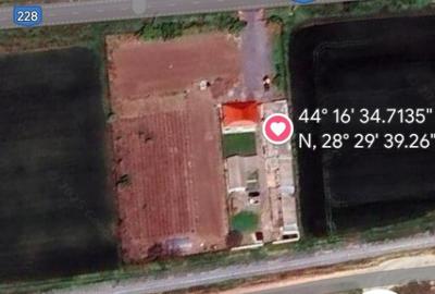 Proprietate teren 8000mp