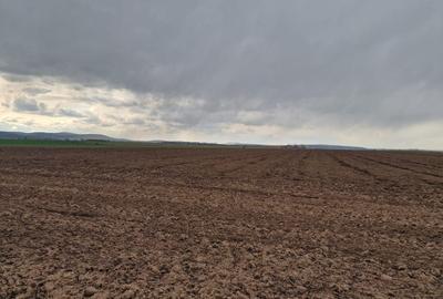 Teren agricol intravilan de 10000 mp, în Vest - 10