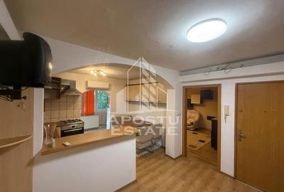 Apartament cu 3 camere ,zona Aradului - 12