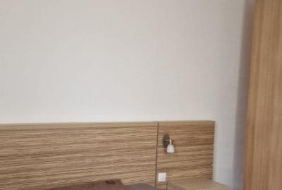 Apartament cu 3 camere decomandat în Nord - 10