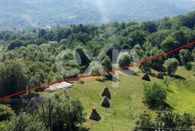 Teren în Corbeni - 6