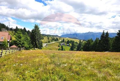 Teren de vis in Fundata 3868mp, la inal?imea sufletul... Teren de vis in Fundata 3868mp, la inal?imea sufletul... - 1