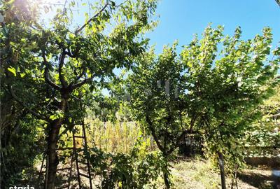 Casă cu 3 camere cu Teren 300 Mp în Holboca - 2