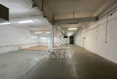 Hala de 670 mp cu birouri 50 mp, Zona Semicentrala - 9