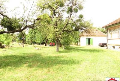 Casa cu teren 4,3 hectare in Livada ( ID 22148) - 14