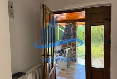 Pensiune/ Vila Valea Avrigului - 8