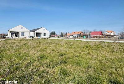 Casă cu 4 camere cu Teren 720 Mp în Borș - 5