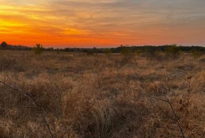 Teren extravilan 5000 , 2,5 euro mp BREASTA - 6