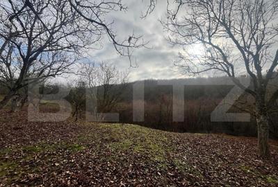 Teren extravilan, 4 hectare, langa livada de mere Ghinda - 10