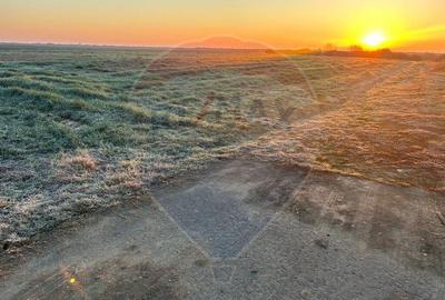 Teren 17,400mp Ciumeghiu / Drumul DN79 - 1