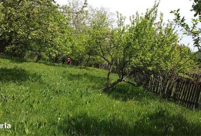 Teren de 1070 mp, în Berevoești - 2