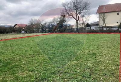 Teren de 500 mp, în Cărpiniș - 4