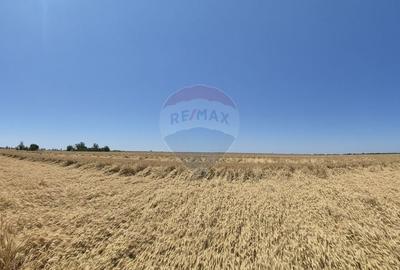 Teren de vanzare in apropiere de A0 - investitie si dezvoltare - 5