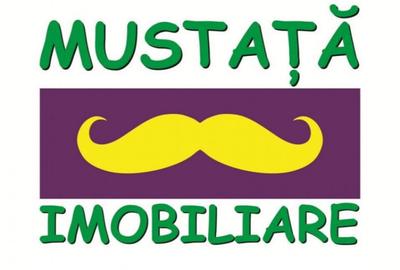 Teren intravilan Cazasu 9.500mp - 1