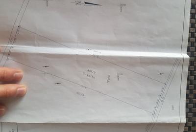 Teren agricol extravilan de 41100 mp, în Torontalului - 3