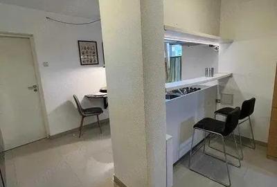 1 cam dec renovat mobilat etaj intermediar Piata Unirii Parcul Botanic - 6