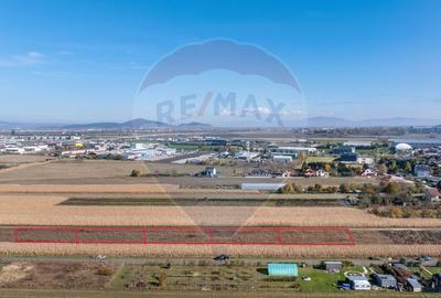 Teren Brasov -Strada Aron Pumnul, 2 loturi X 520 mp, impreuna/ separat - 2