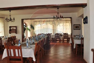 Hotel/Pensiune, de 2,950 mp, în Pănicel - 16
