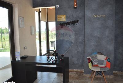 Spațiu comercial, de 450 mp, în Limanu - 16