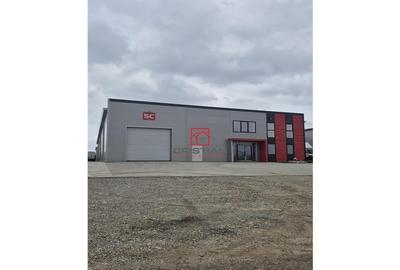 Depozit/hala/spatiu industrial Chiajna - Chitila - Rudeni - 3