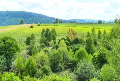 25.000 mp TEREN IDEAL AFACERE TURISM – AMENAJARE LAC DE PESCUIT, CIUCEA - CLUJ - 16
