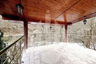 Casa de vacanta cu potential de Pensiune Turistica, Ramet - 14