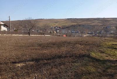 Teren de 1000 mp, în Vulturi - 4