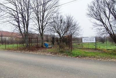 Vânzare teren 6000 mp în orașul Măgurele - 8