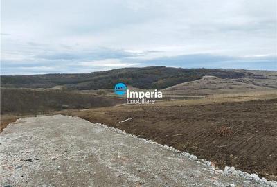 Dorobant - Aroneanu, teren intravilan pentru construit/investitie! - 3
