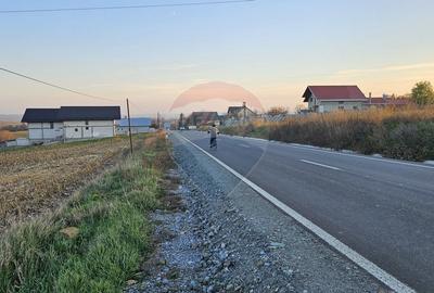 Teren Extravilan 2500 mp-Stroiesti, Suceava - 3
