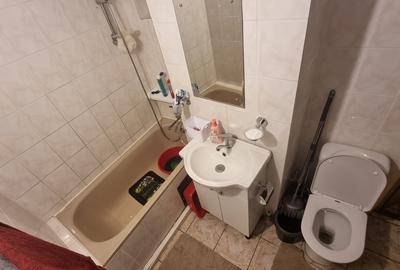 Apartament 4 Camere | Tei | SPATIOS | NEGOCIABIL | ZONA NEPOLUATA | - 10