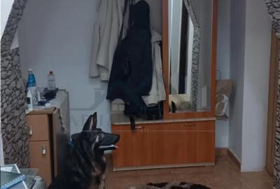 Apartament cu 2 camere decomandat în Tomești - 3