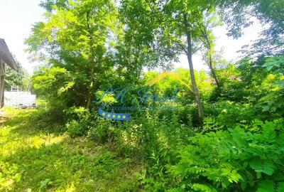 Teren intravilan de vanzare Cornu, Prahova - 2