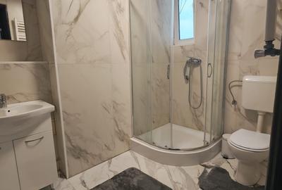 Apartament cu 3 camere semidecomandat în Grădina Icoanei - 10