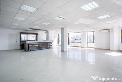 Spațiu comercial, de 250 mp, în Ferdinand - 17