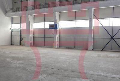 Spațiu comercial, de 520 mp, în Someșeni - 6