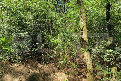 Teren 3000 mp - 1200 mp intravilan, zona Cuparu - 3