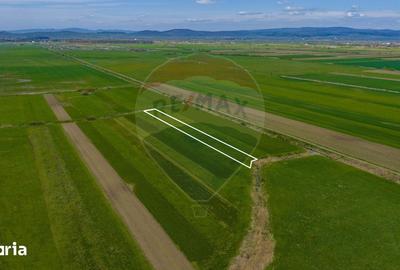 Teren de 4000 mp, în Prejmer - 16