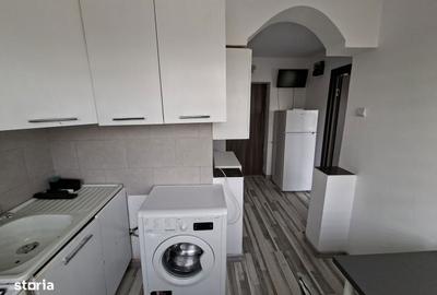 Apartament cu 2 camere decomandat în Săsar - 8