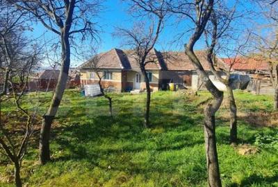 Teren de 2989 mp, în Bună Ziua - 1