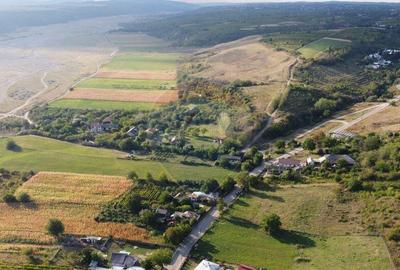 Teren Panciu ( Satul Nou ) Strada Progresului - 5