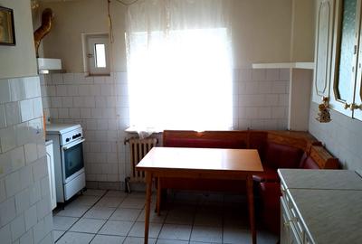 Apartament cu 3 camere decomandat în Găvana 3 - 4