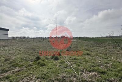 Spațiu comercial, în Viile Noi - 3