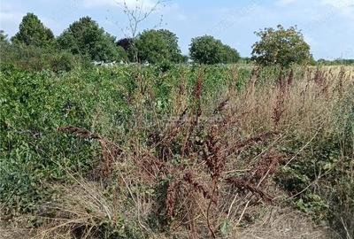 Terenuri intravilane--Mihailesti Giurgiu-Toate utilitatile-Asfalt - 1