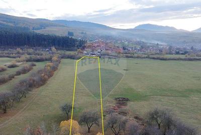 Teren 5.800 mp Purcareni curent, gaz, apa / Strada 30 de... - 17