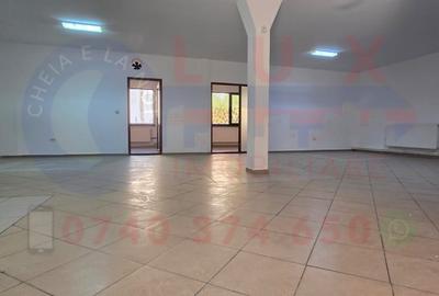 Birou, 383 mp în Central